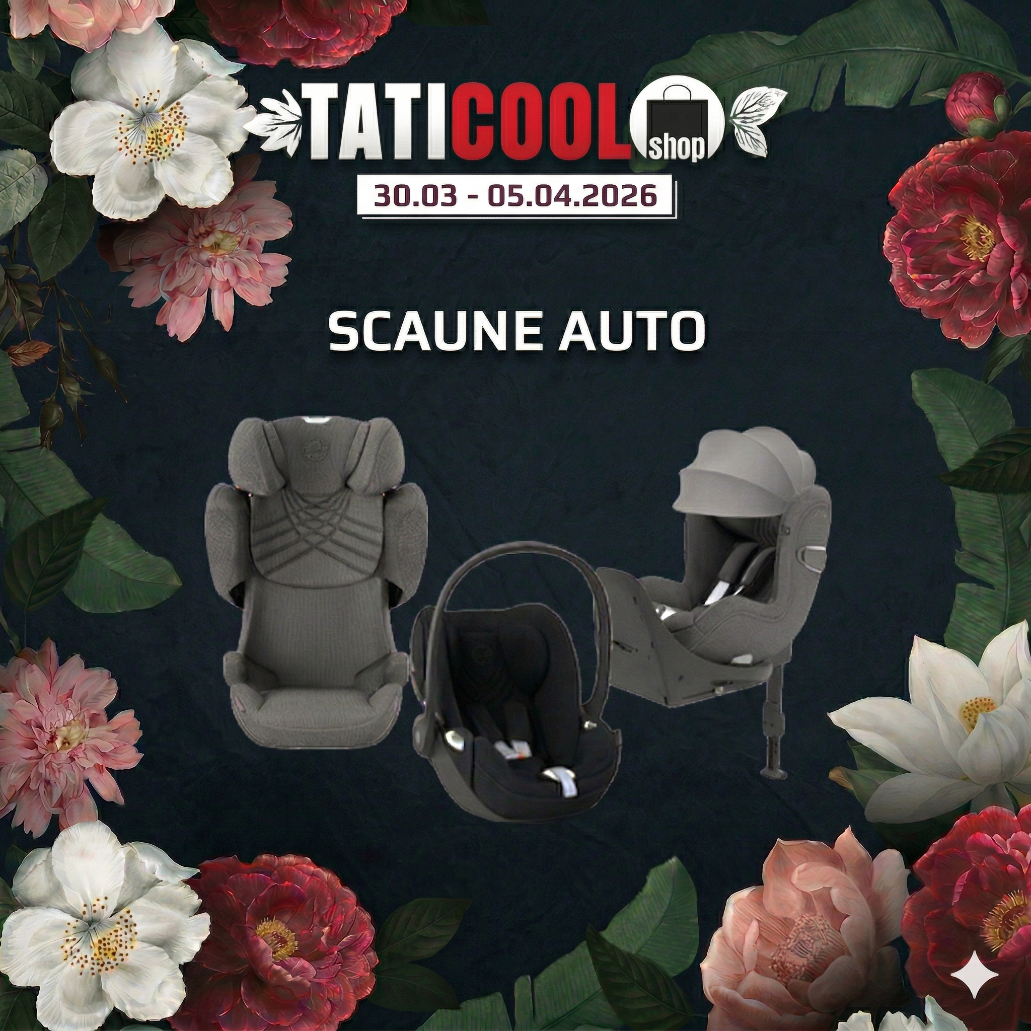 Pachete Scaune Auto